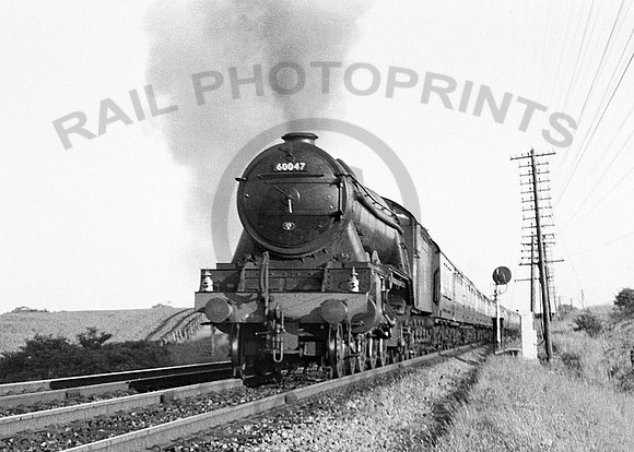 60047-Y-Darlington-240655-RPC983