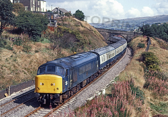 46039-Y-Greenfield-120981-JC170