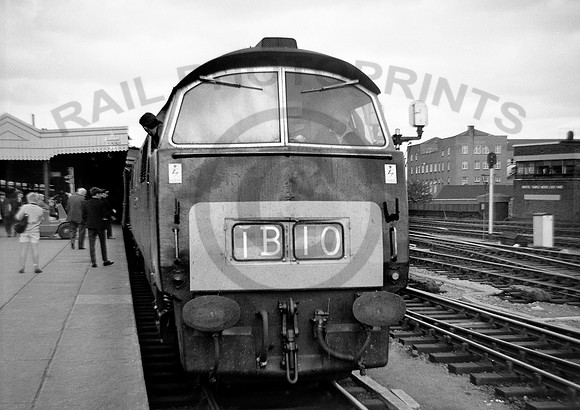 D1029-Y-BristolTM-1964-BR085