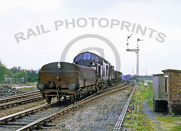 Class 37 Norton Station 060567 CD097