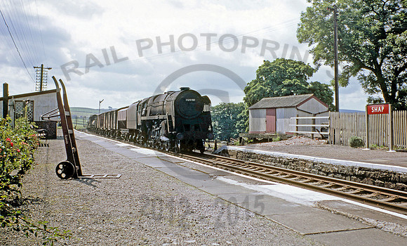 92051 Shap 220767 CD051