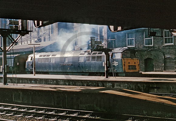 1015-Y-Paddington-0975-RPC134