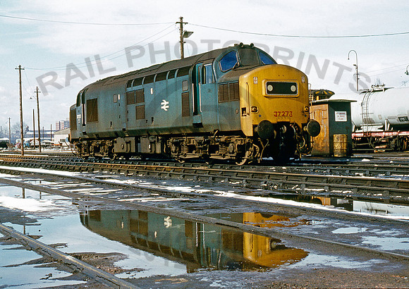 37273-Y-Gloucester-160378-PB829