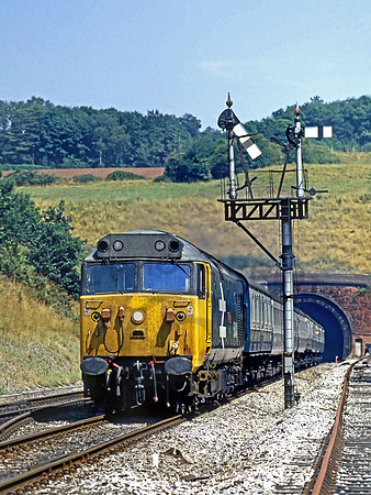 50040-Y-Whiteball-300783-JC713