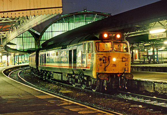 50032-Y-Paddington-130190-JC657
