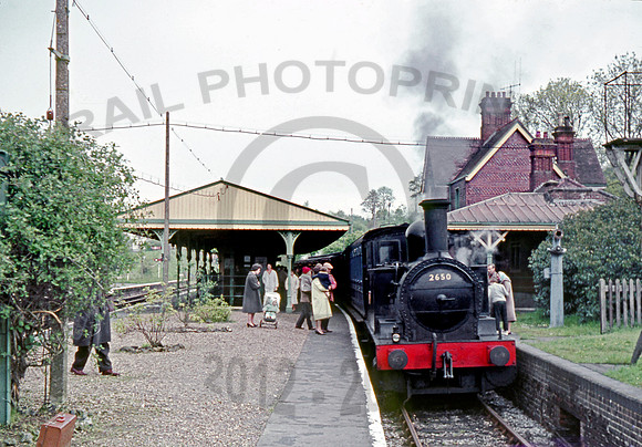 2650 Bluebell 0562 RPe358