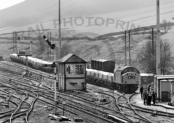 40155-Y-PeakForest-230382-031281-JC562