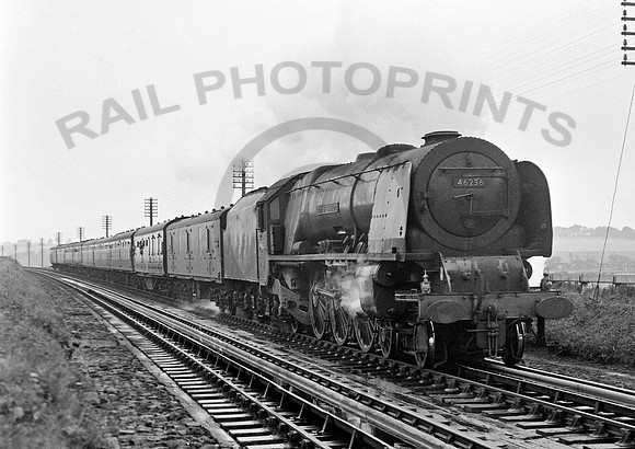 46236-Y-Moore-1959-Raw935