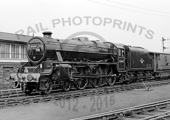 45447-Y-where-0563-CW588