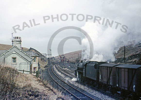 44792-Shap-250367-DR464