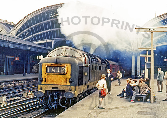 D9005-Y-York-0962-CW071