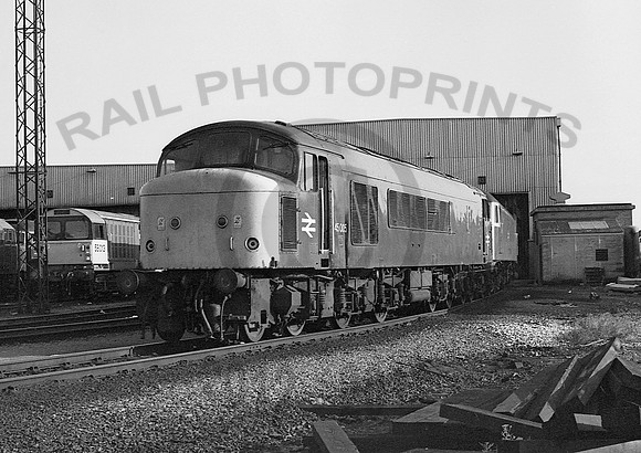 45005-Toton-110884-597