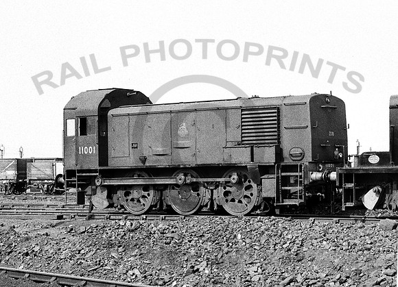 11001-Y-Derby-1955-RL484