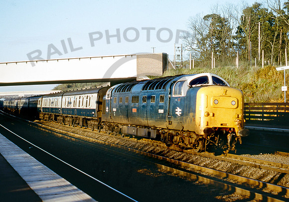 55003-Y-Sandy-191179-DCC121