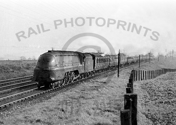 46243-Y-Birdswood-1948-RAW392