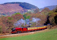 6100 Llangollen Rly 180409 BR303