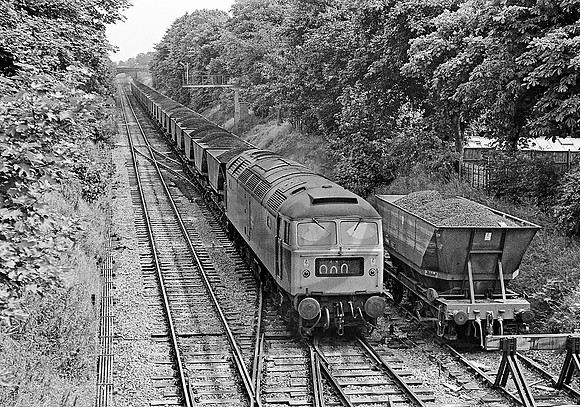 47192-Y-SkeltonJunction-240779-JC819