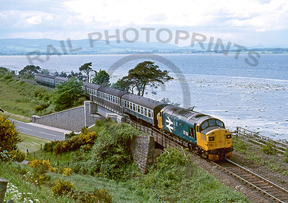 37114-Y-Inchberry-190685-JC1