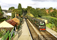 34007 Medstead-&-Four-Marks-110909 GE