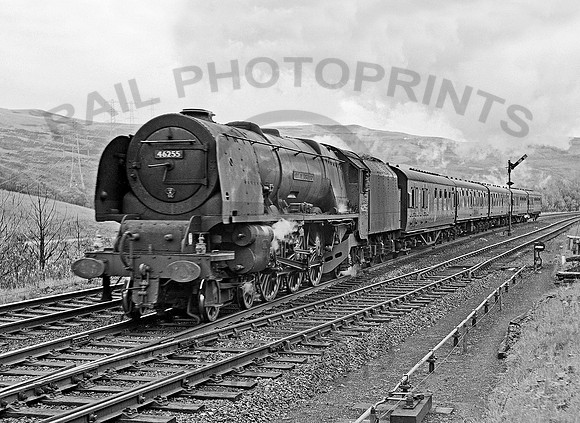 46255 Greskine 091063 HB541