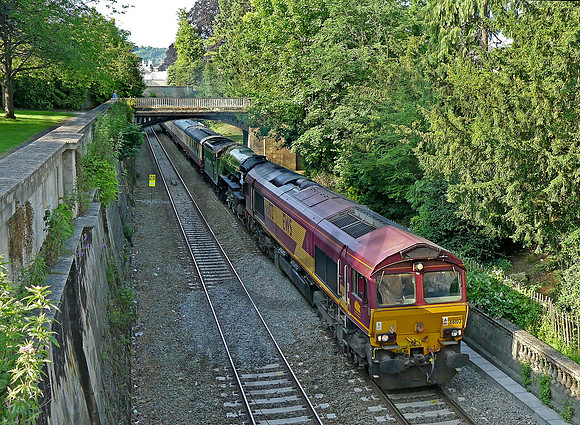 66102 Sydney Gardens 180617 JC102