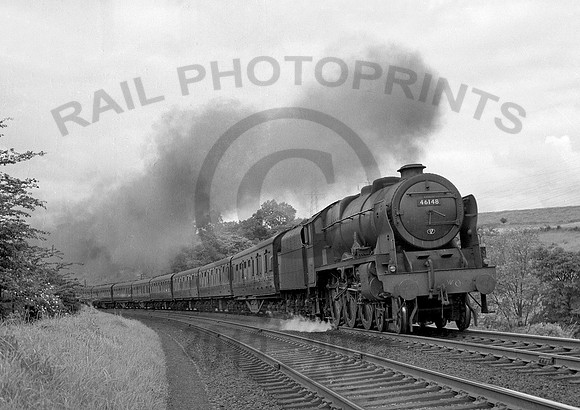46148-GreatStrickland-0655-RPC124
