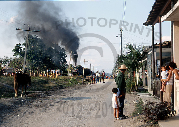 Cuban Village 2002 CW519