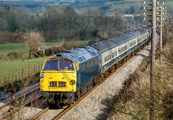 1048-Y-CastleCary-240277-DCC646