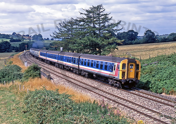 8006 Wyke Champflower 290789 JC223