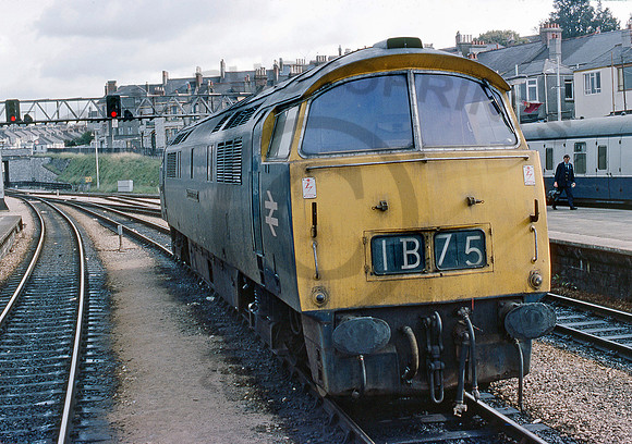 1064-Y-Plymouth-1075-RP255
