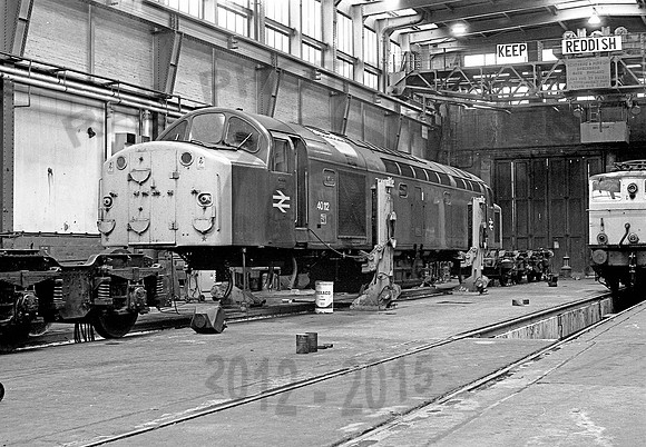 40112-Reddish-191178-JC458