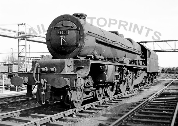 46203 Derby 290462 MH074