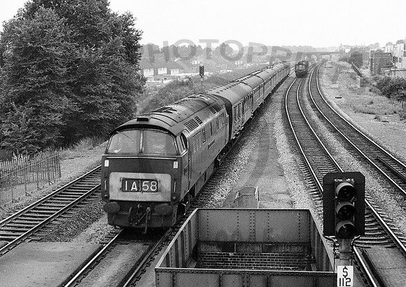 D1050-Y-Langley-180666-RL404