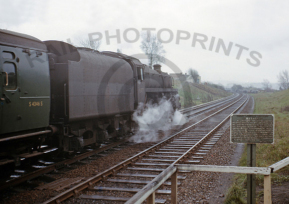 75078-Y-Radipole-0466-BR579