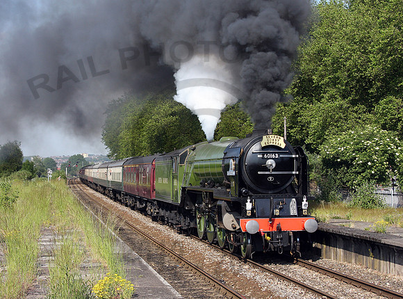 60163-Y-Bedminster-300509-RP234