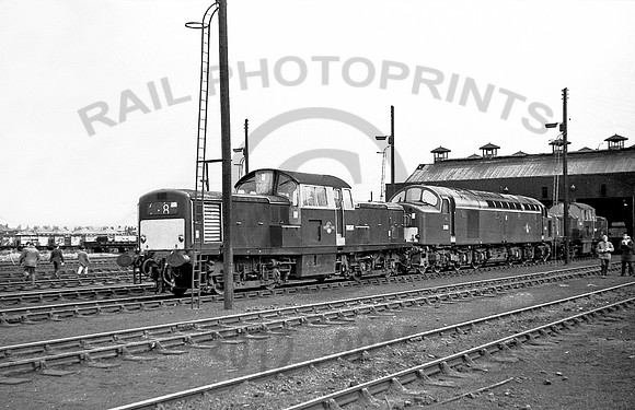 D8561-Thornton-250367-RP