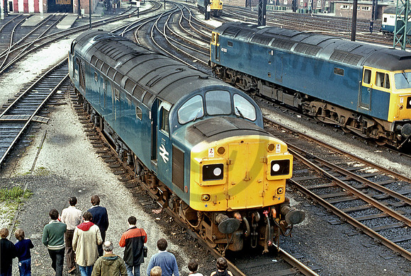 40143-Longsight-290680 GE143