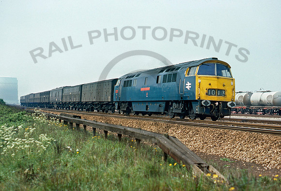 1013-Y-Reading-080576-DCC128