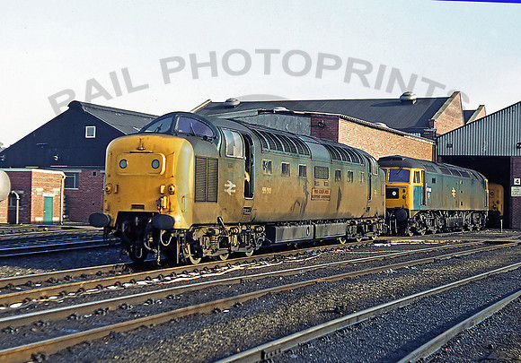 55010-Haymarket-230279-JC584