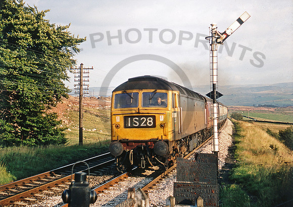 D1964-Y-ScoutGreen-290869-RL180