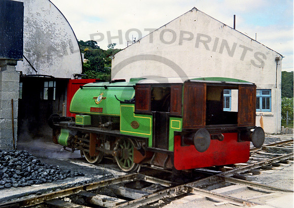 Alfred WB3058  Par Harbour  0871 RPE19716