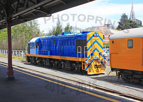 Taieri-DJ1227-Y-Dunedin-191110-JC8852