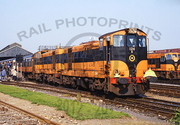 IR 124 Limerick 130986 RPC605