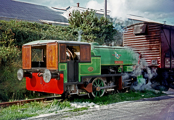 WB 3058 'Alfred' Par 0969JC323