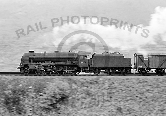 46157 Greskine 101063 HB542
