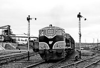 176 Wellington Bridge 1092 JC223