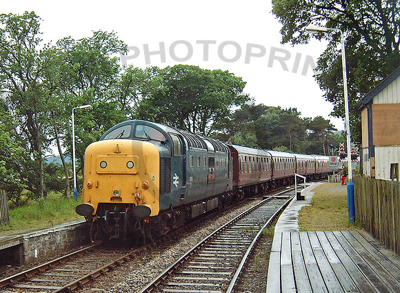 55019 Forsinard 230603 JC436