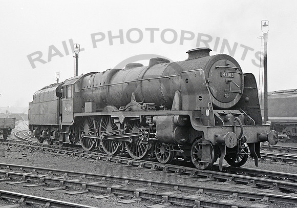 46103 Derby 300461 HB313