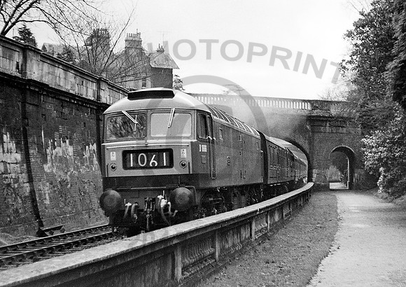 D1666-Bath-0465-JC381