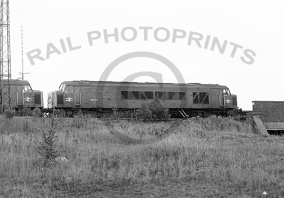 45024-Tinsley-170678-JC563